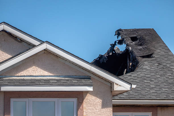 Top rated local Fire Damage Removal specialists in Darwin, MN